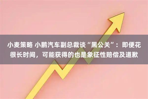 小麦策略 小鹏汽车副总裁谈“黑公关”：即便花很长时间，可能获得的也是象征性赔偿及道歉