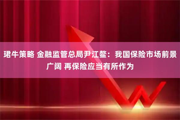 珺牛策略 金融监管总局尹江鳌：我国保险市场前景广阔 再保险应当有所作为