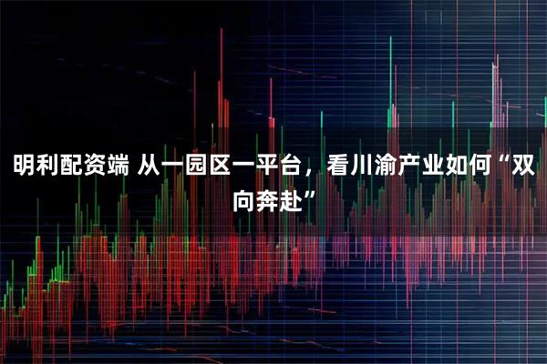 明利配资端 从一园区一平台，看川渝产业如何“双向奔赴”